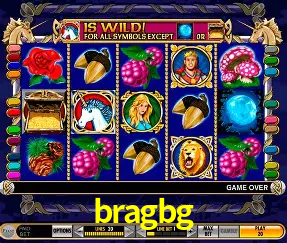 bragbg Rio de Janeiro - Bonus Terms